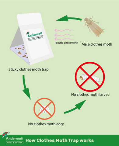 Diagram of how a clothes moth trap works