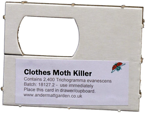 Photo of clothes moth killer card