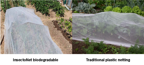 biodegradable netting vs plastic netting setup in the garden