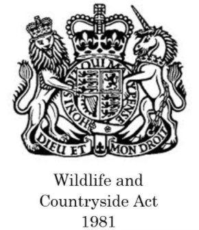 Wildlife and countryside act 1981