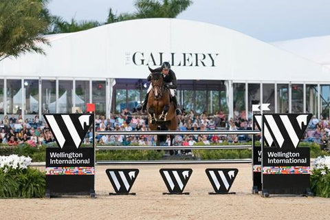 Clôture de saut à cheval du Wellington International Horse Show avec la galerie en arrière-plan