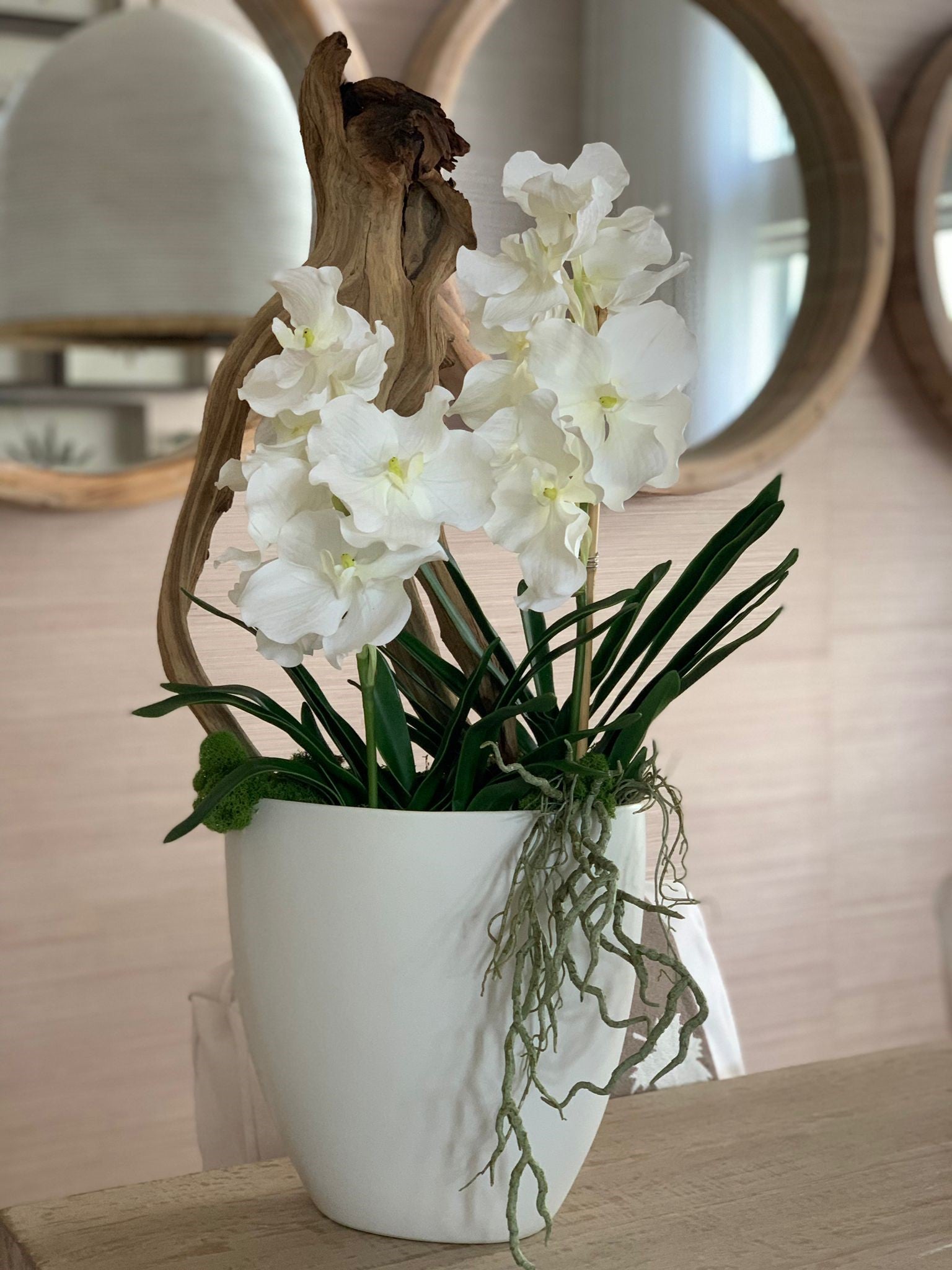 White Vanda Orchids and Ghost Wood set in a white Ceramic Vase – Matarazzo  Floral Designs