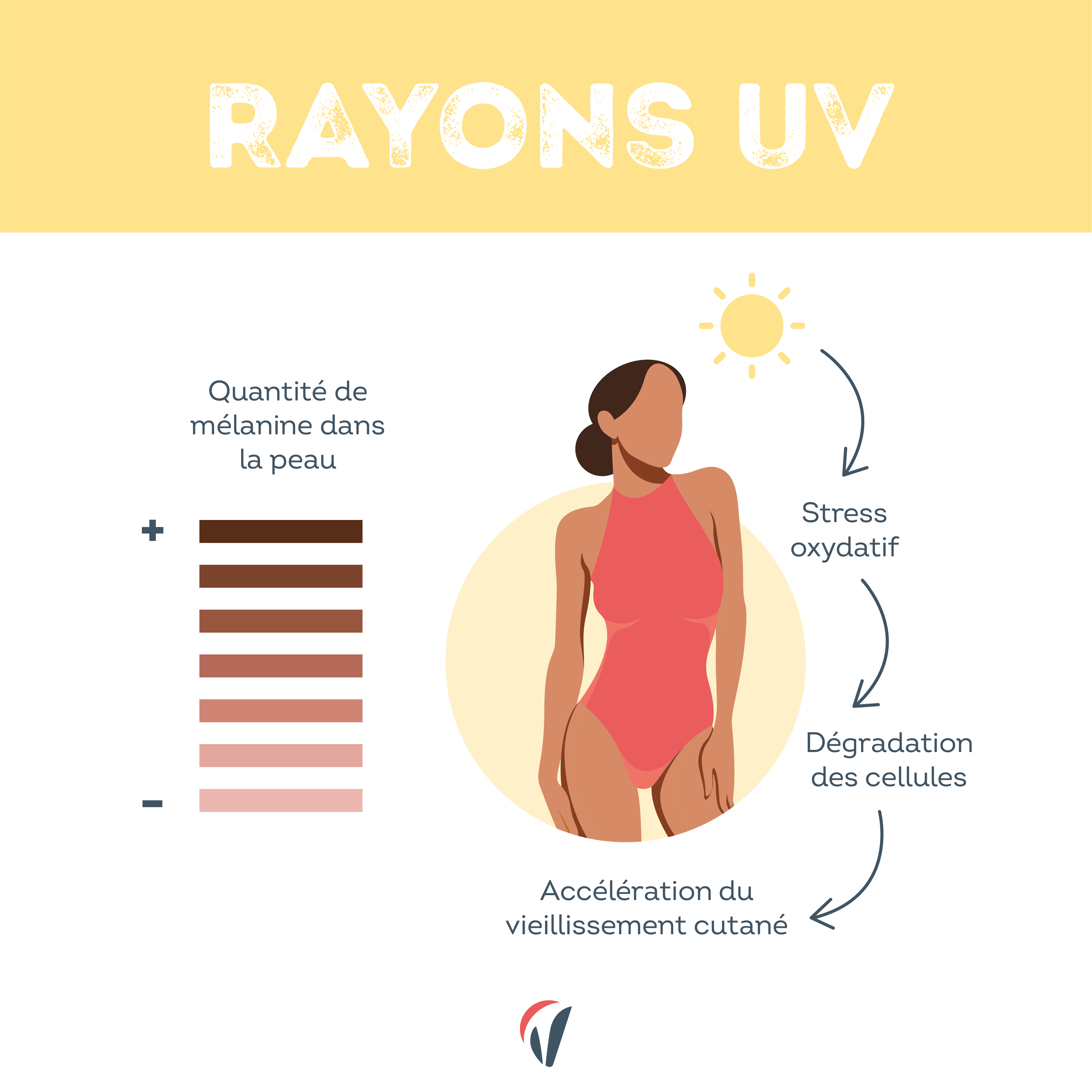 explications rayons uv