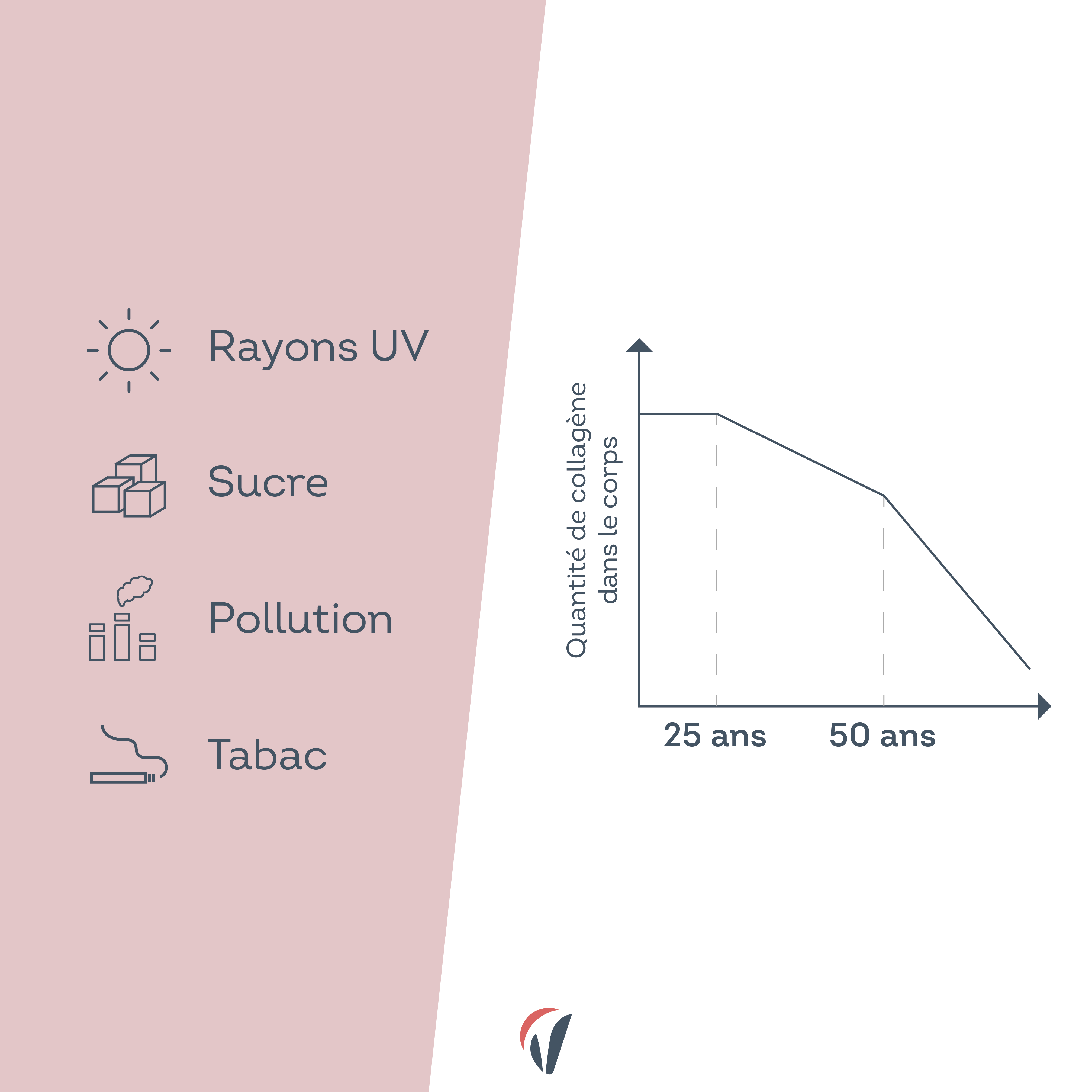 diminution collagene des 25 ans