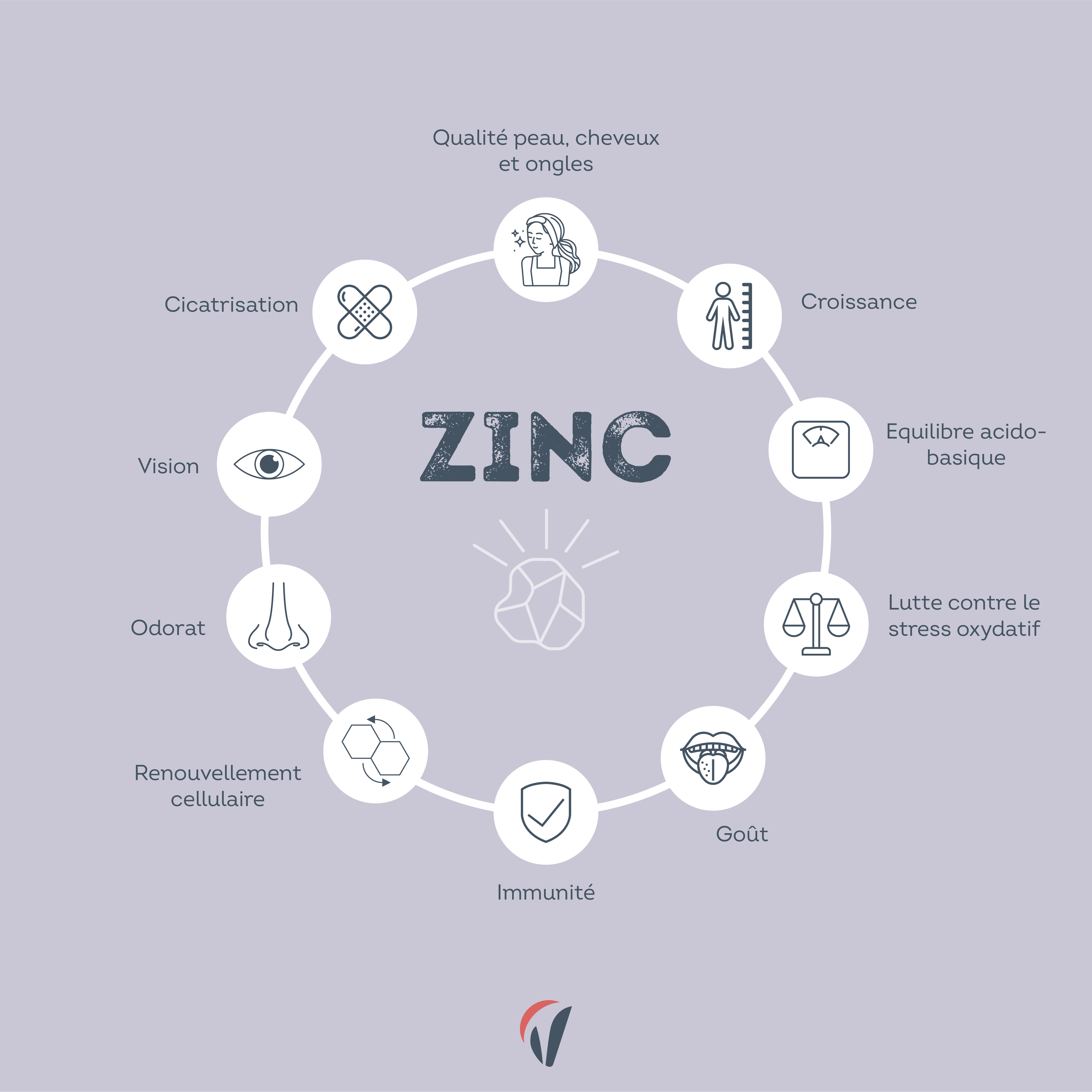 multiples bienfaits zinc
