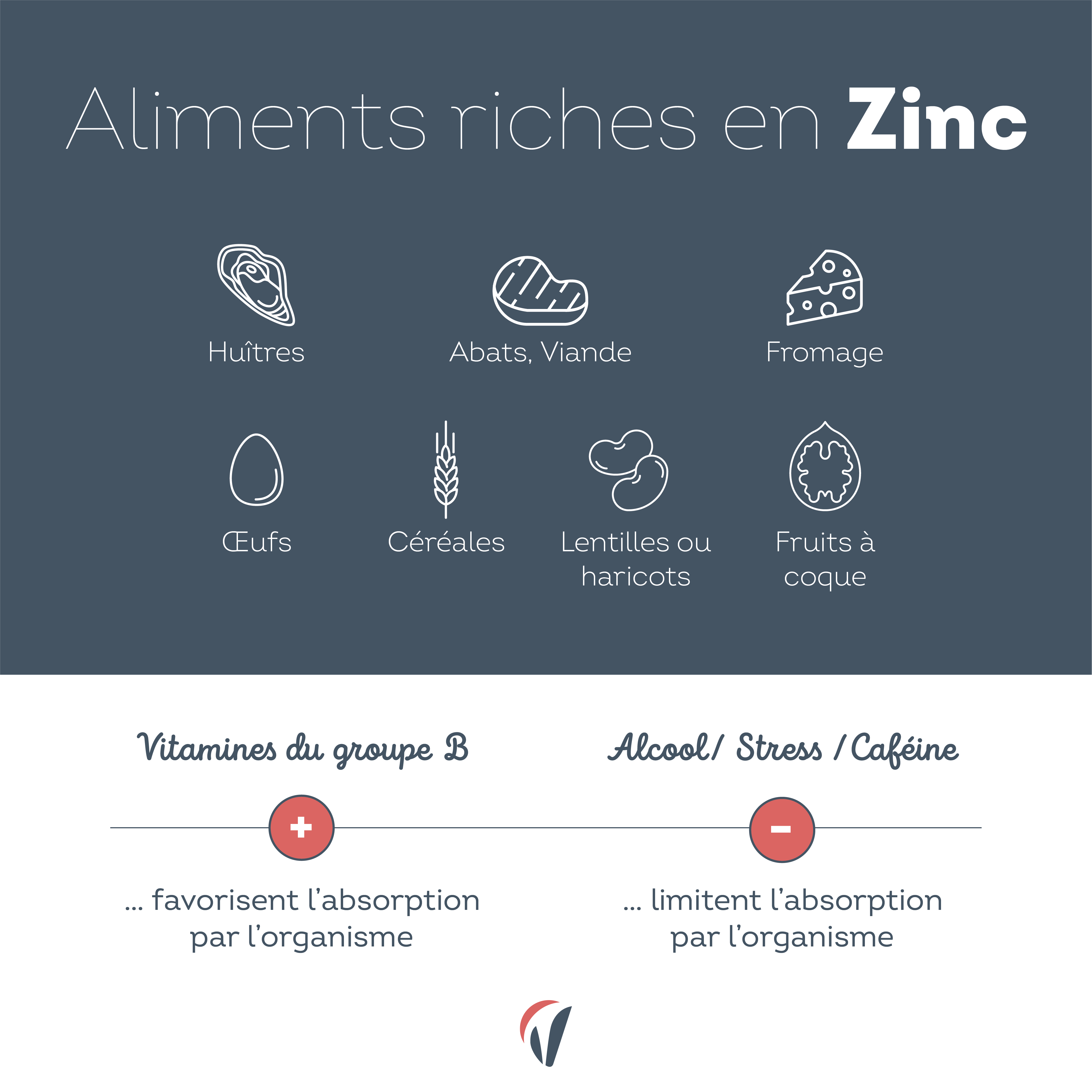 aliments riches en zinc