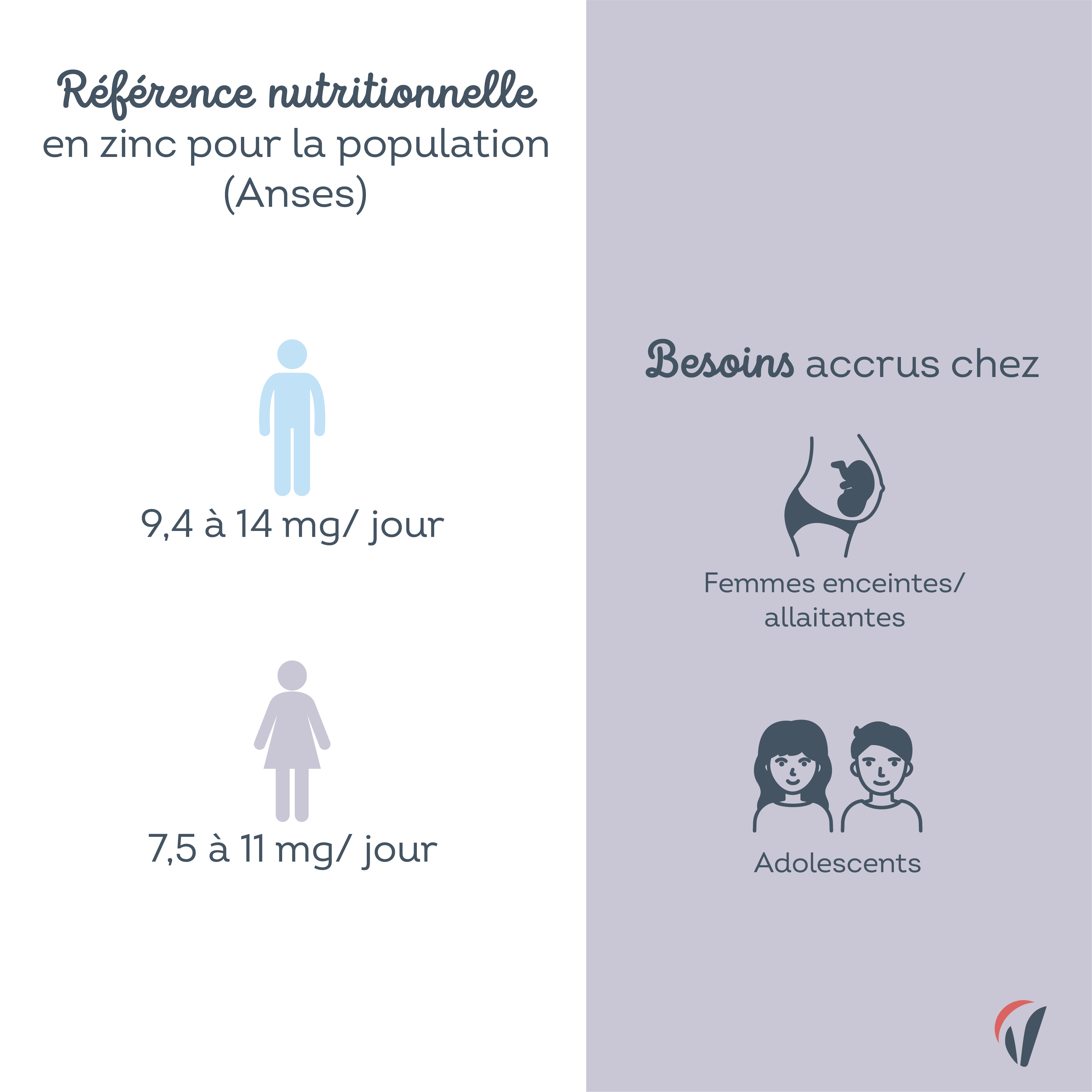 prendre complement alimentaire zinc