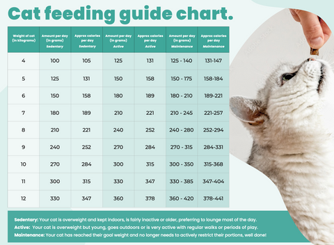 Cat feeding guide