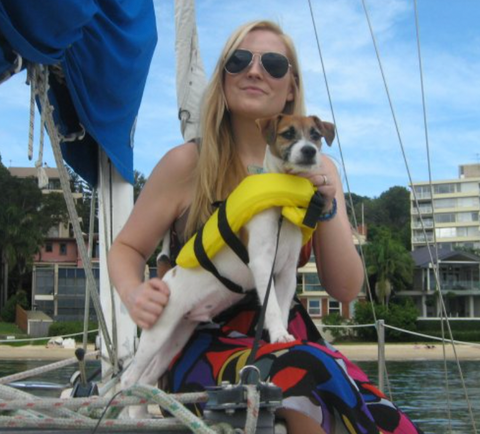 dog on the boat