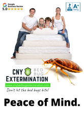Load image into Gallery viewer, Poughkeepsie, NY Bed Bug Extermination (Bed Bug Pest Control)
