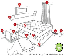Load image into Gallery viewer, Binghamton, NY Bed Bug Extermination (Bed Bug Pest Control)

