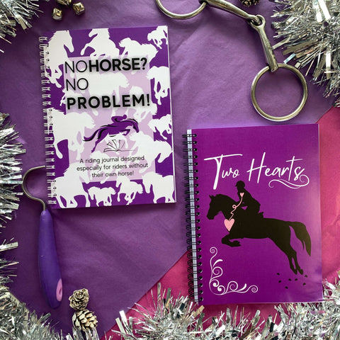 christmas gift for horse riders lesson journal bundle