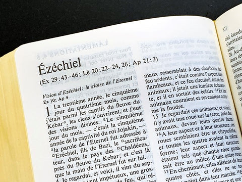 Le Livre d'Ézéchiel- Livre Biblique expliqué