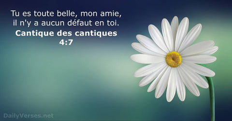 Le Cantique des Cantiques - Livre Biblique expliqué