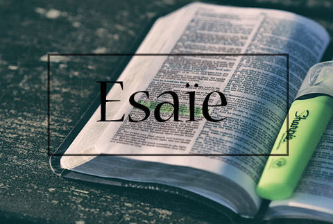 Das Buch Jesaja – Bibelbuch erklärt
