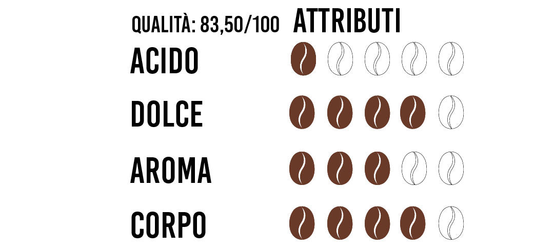 caffè specialty dal brasile Torrefazione artigianale a Verona