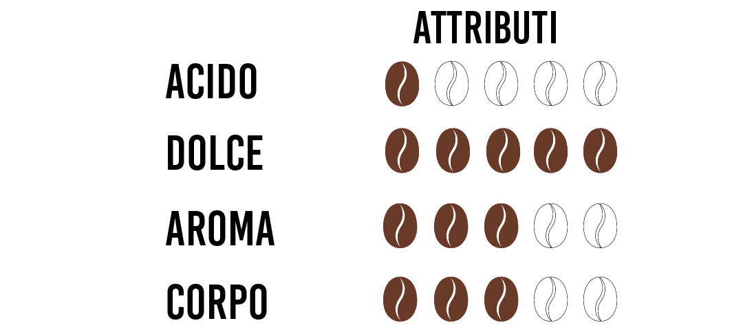 scegliere il miglior caffè specialty in base al gusto