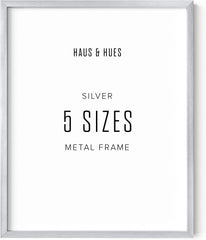 Haus & Hues Silver Metal Frame