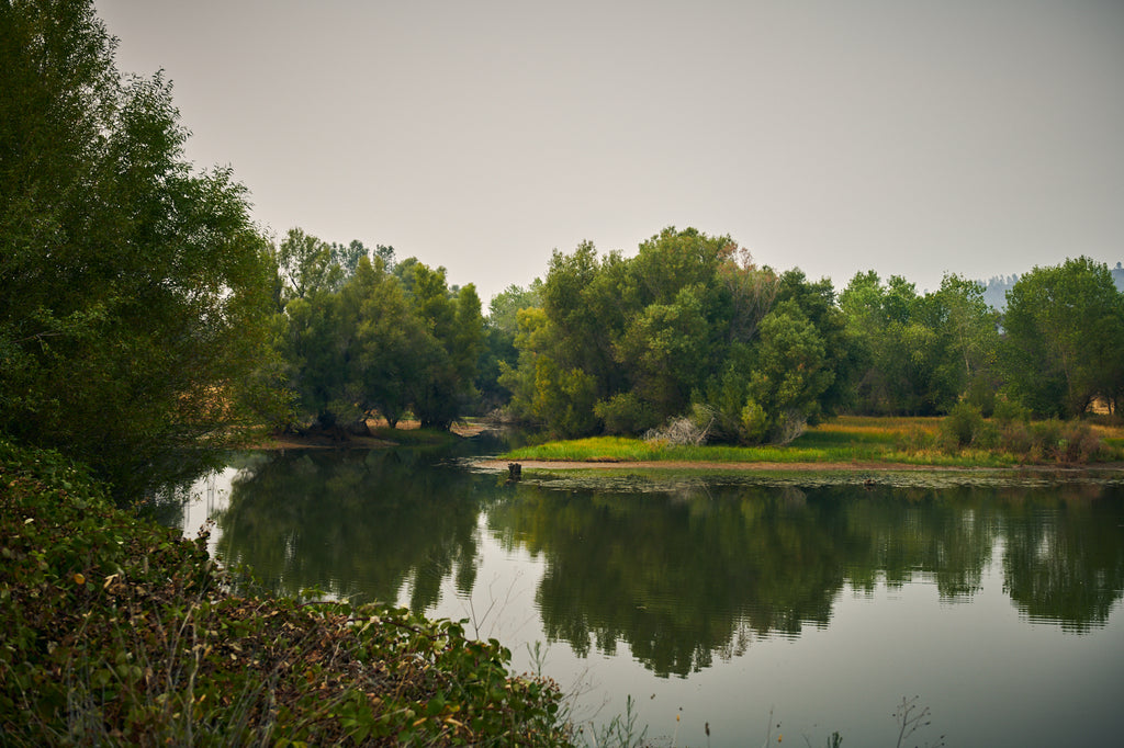 Lake at Sonny's Farm