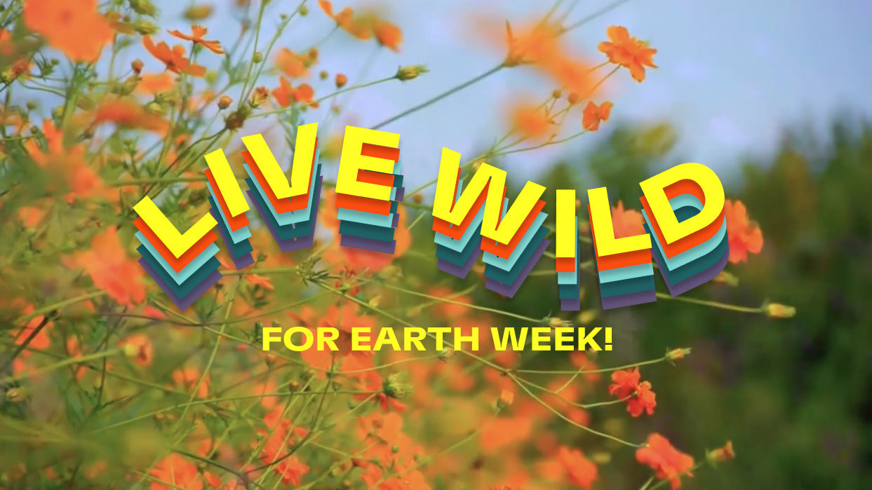 Live Wild For Earth Day