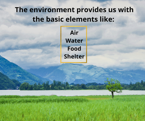 Basic elements provided by the environment