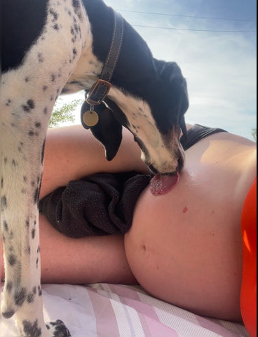 Dog kisses belly of pregnant lady