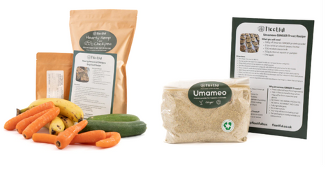 Fresh vegan dog food kits for dog's joints