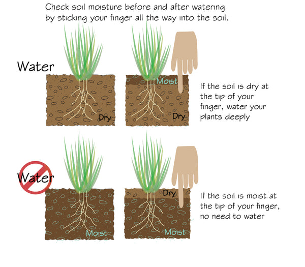 Check soil moisture before and after watering by sticking your finger all the way into the soil.  If the soil is dry at the tip of your finger, water your plants deeply.  If the soil is moist at the tip of your finger, no need to water.