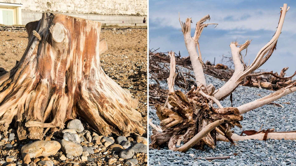 Driftwood is a type of wood that has been washed ashore by the sea or a river