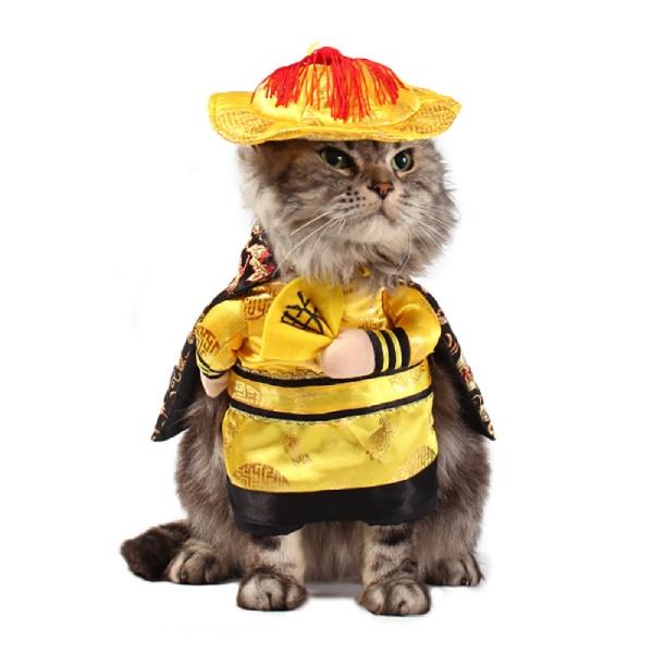 Deguisement Pour Chat Costume D Empereur Chic Et Chat