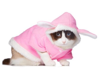 Deguisement Pour Chat Veste Lapin Adorable Chic Et Chat