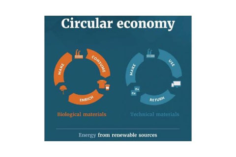 The circular economy 