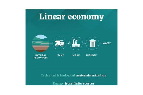 The Linear Economy