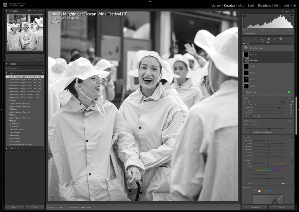 ic: Lightroom Adjustment Brush Settings for Skin Smoothing