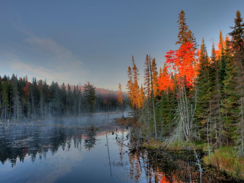 ic:Algonquin Provincial Park Photo a sunrise