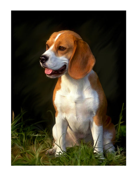 ic:Beagle original photo (detail)