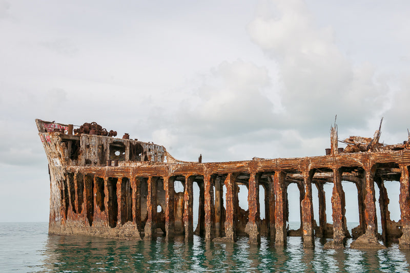 ic:Skeleton of the SS Sapona Shipwreck