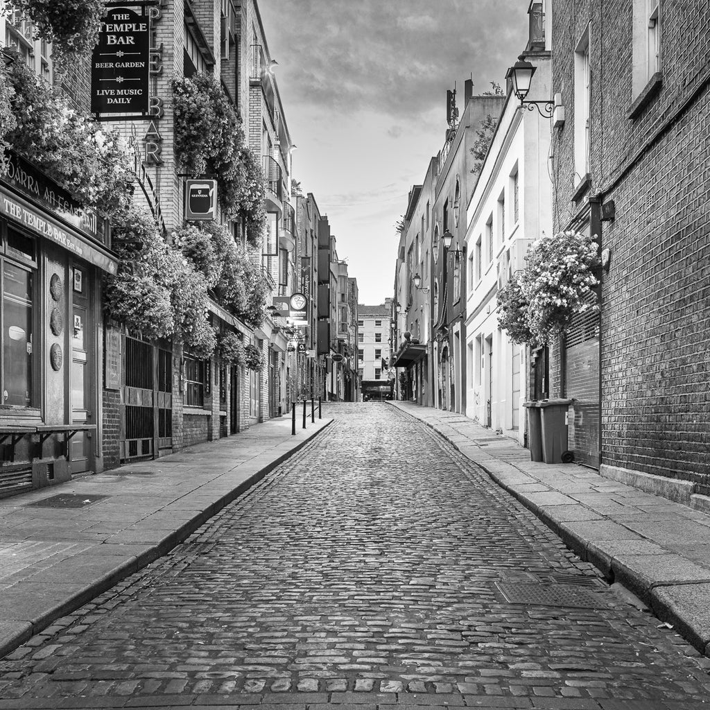 ic:Serene Morning in Dublin: The deserted streets of Temple Bar capture the tranquil yet spirited essence of Ireland.