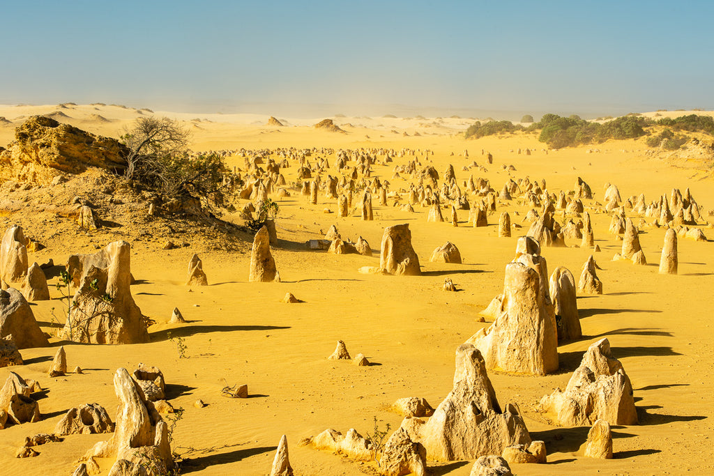 ic:Moonscape of the pinnacles Australia