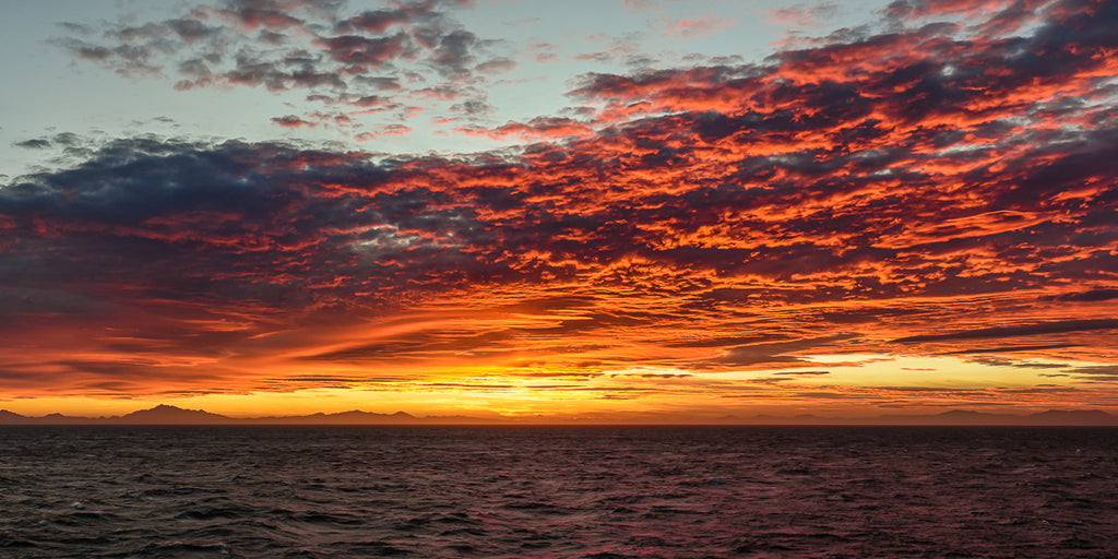 ic:Fiery Skies: A Breathtaking Sunset Over New Zealand's Waters