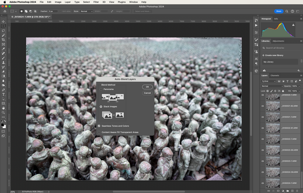 ic:Choosing 'Stack Images' and 'Seamless Tones and Colors' in Photoshop's Auto-Blend Layers dialog box.