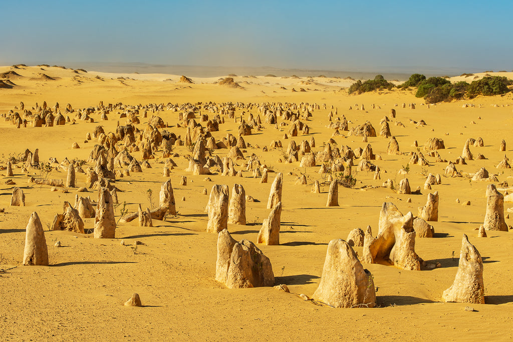 Pinnacles Desert Panorama: Vast Australian Landscape