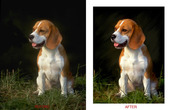 ic:Beagle Painting, finished version, by Scott Deardorff (before - inset)