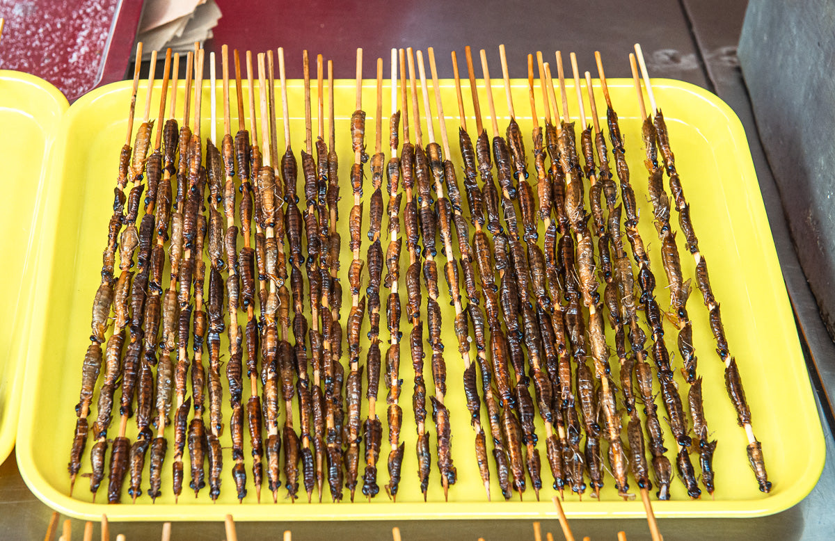 Slugs and other insects cooked on a skewer Beijing China food market