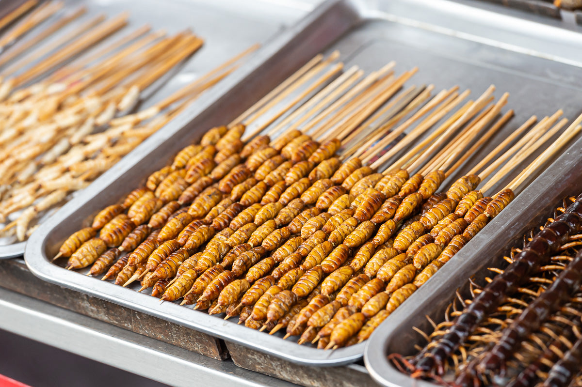 Slugs insects cooked on a skewer Beijing China food market