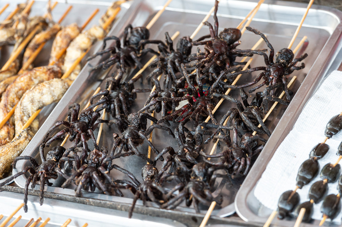 Spiders and beetles cooked on a skewer Beijing China food market
