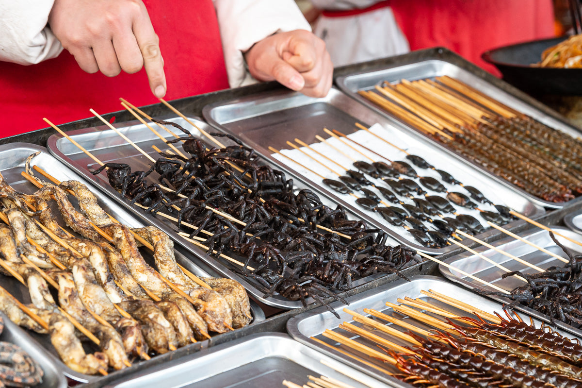 Spiders centipedes beetles and snakes cooked on a skewer Beijing China food market