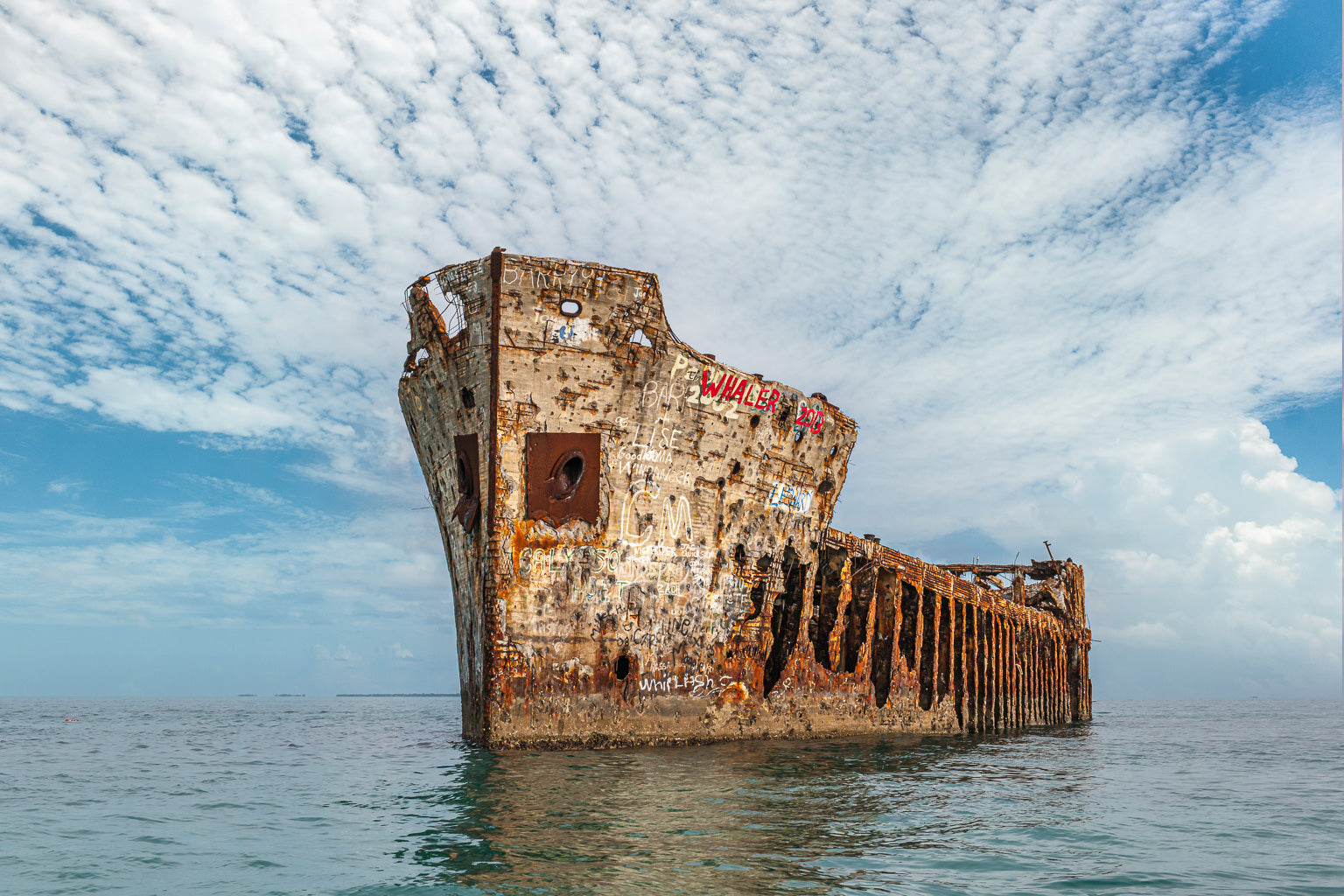 ic:SS Sapona Shipwreck on a beautiful day