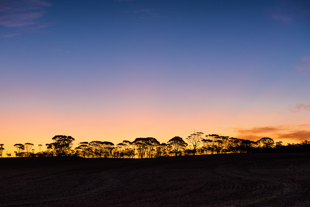 Sunset landscape Australian outback