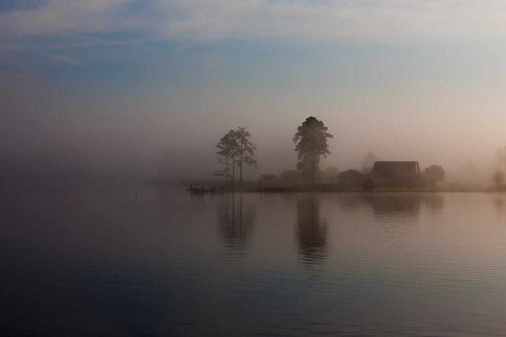 ic:A dreamlike morning in Southern Georgia, where the fog weaves a silent, mystical dance, blurring the lines between reality and fantasy.